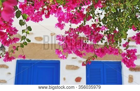Traditional Bougainvillea Flowers And Blue Doors At Koufonisia Islands Cyclades Greece