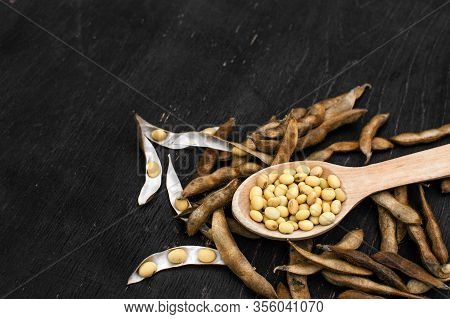 Soybeans Pod, Harvest Of Soy Beans Background. Soybeans On A Wooden Background. Rustic Style