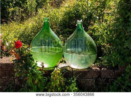 Demijohn Wine Bottles At Vineyard Of The Prosecco Sparkling Wine Region In Valdobbiadene, Italy.