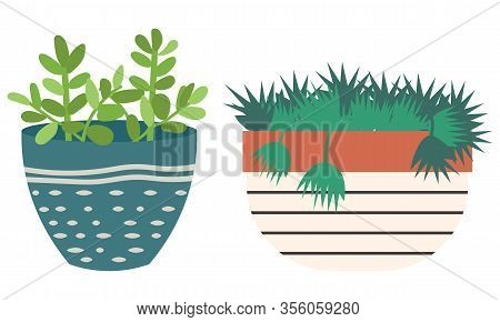 Flowers In Vases, Floral Decor For Home Flat Style Flourishing On Branches, Plant With Frondage, Ten