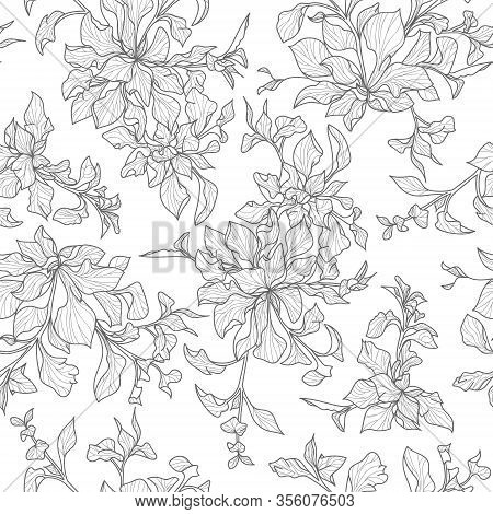 Beautiful Grey Outlined Leaves With White Background
