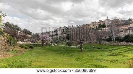 Jerusalem, Israel, February 29, 2020 : Gey Ben Hinnom Park - Called In The Holy Books As The Blazing