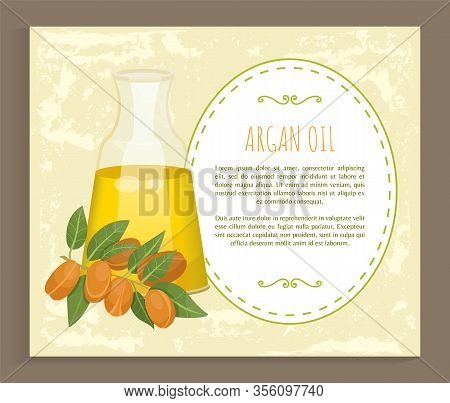Glass Bottle Contains Golden Liquid Inside. Branch With Brown Nuts Of Argania. Text, Information Abo