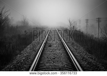 Perspective Of Railway Track Disappearing In Mist In Foggy Morning With Cat In Distance Trying To Cr