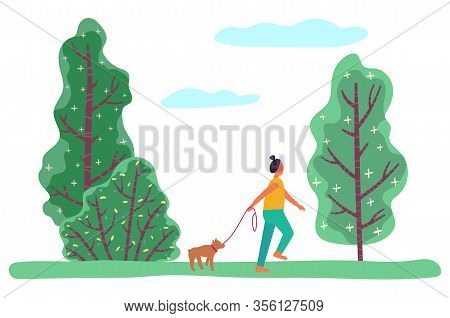 Young Woman Strolling In Forest Or Meadow Among Trees And Shrubs. Person Play With Her Little Pet, P