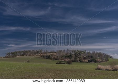 View For Landscape With Cut Down Forests After Bark Beetle