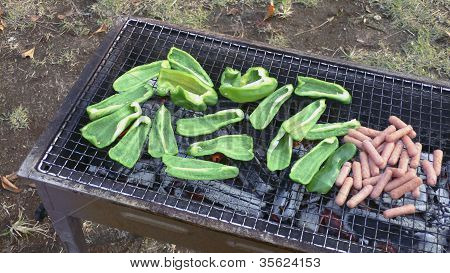 Barbecue Party