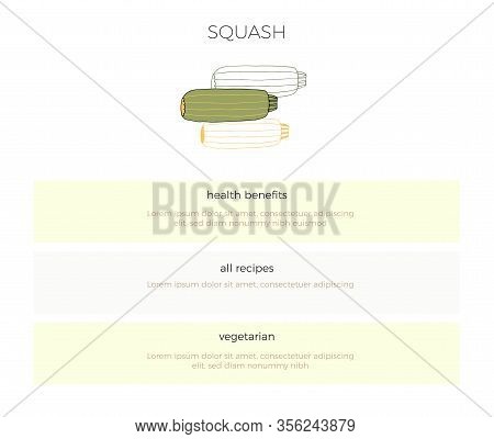 Hand Drawn Vector Vegetables. A Template With Isolated Sguash Illustration. Healthy Nutrition Vegan 
