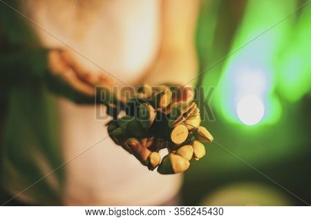 Human Hands Play An Oriental Musical Instrument