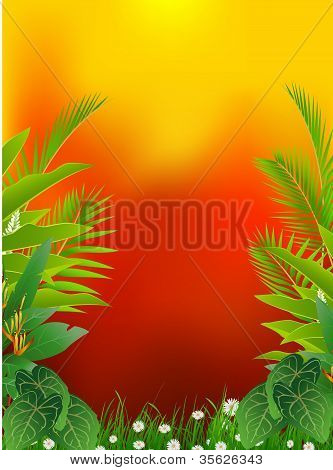 tropical forest background
