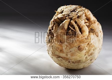 Healthy And Delicious Raw Vegetable Root Celeriac