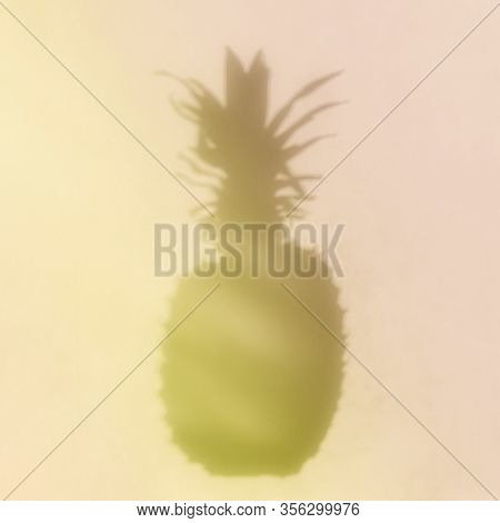 Silhouette Of Pineapple Close Up On Colorful Background