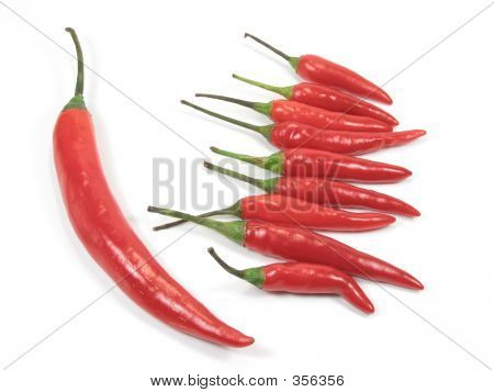 Red Chli Pepper Standout