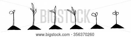 Seedlings In Hand Drawn Doodle Style. Garden Vector Illustration. Isolated On White.