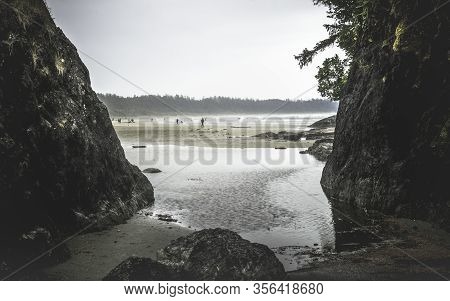 Beautiful Nature On Vancouver Island In Canada