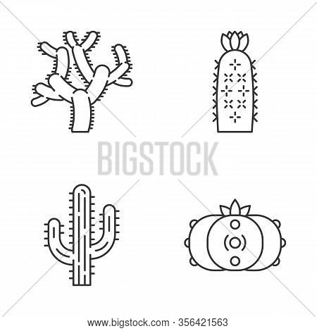 Wild Cacti Linear Icons Set. American Tropical Plants. Succulents. Saguaro, Peyote, Hedgehog, Teddy 