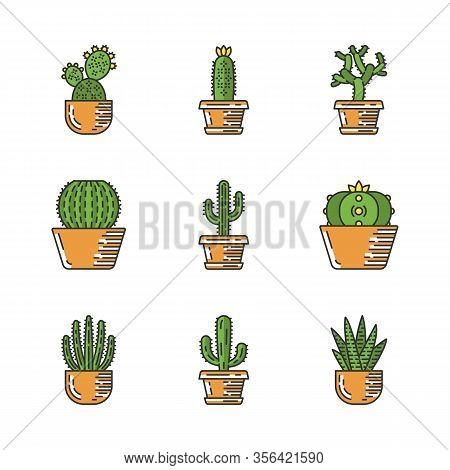 Cactuses In Pots Color Icons Set. Mexican Tropical Flora. Succulents. Spiny Plants. Cacti Garden Col