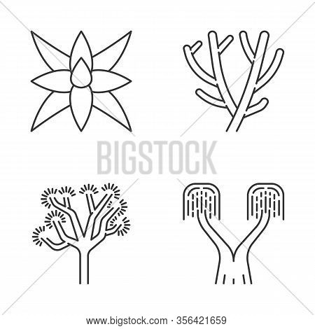 Desert Plants Linear Icons Set. Exotic Flora. Fox Tale Agave, Pencil Cactus, Joshua Tree, Ponytail P