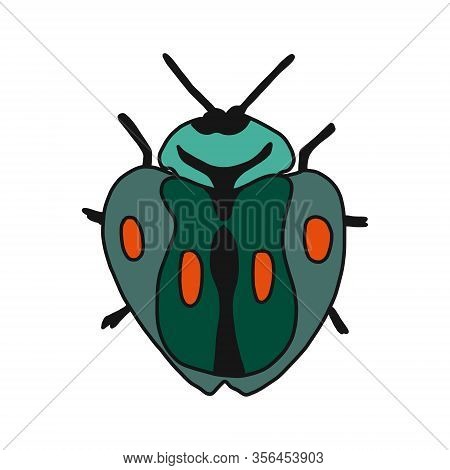 Vector Illustration Of A Hand Drawn Rose Chafer .flat Design. Insect Isolated On A White Background.