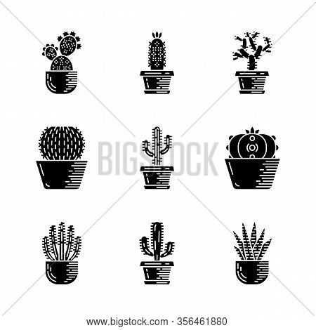 Cactuses In Pots Glyph Icons Set. Mexican Tropical Flora. Succulents. Spiny Plants. Cacti Garden Col