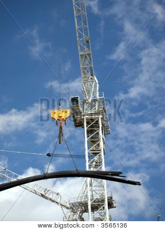 Белый журавль