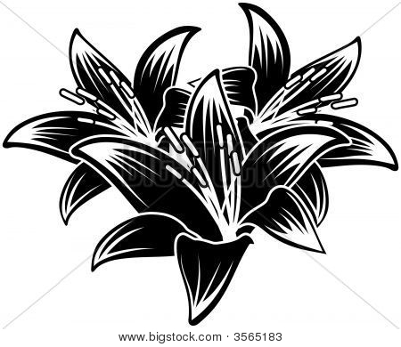 Flores tropicales