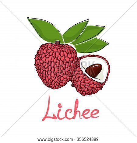 Red Lichi And Text Lichee, Tropical Fruit Isolated On White Background, Vector Illustration