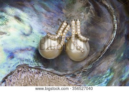 South Sea Golden Pearls Earrings With Diamonds On Mother Of Pearl Shell (pinctada Margaritifera)