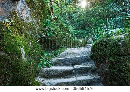 Stone Stairs Covered Moss In Capuchin Monastery In Portugal