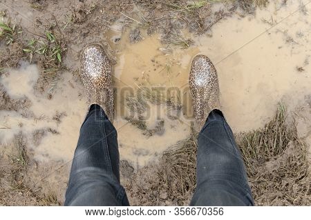 A Close Up View Of Animal Print Gum Boots Covered In The Muddy Water