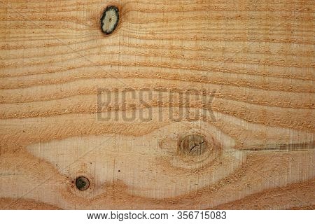 Douglas Fir, Pseudotsuga Menziesii, Tree Recently Sawn Timber Plank With Knots And Showing The Grain