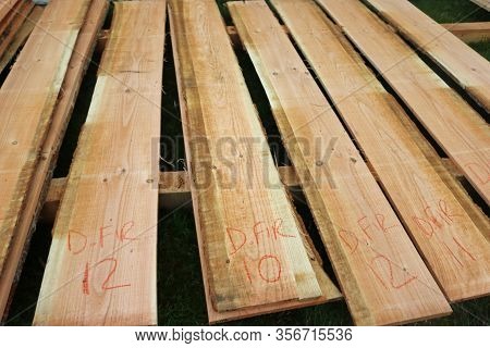 Douglas Fir, Pseudotsuga Menziesii, Tree Recently Sawn Timber Planks For Sale Raised On Wooden Beams