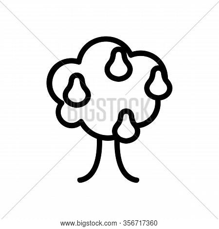 Pear Tree Icon Vector. Pear Tree Sign. Isolated Contour Symbol Illustration