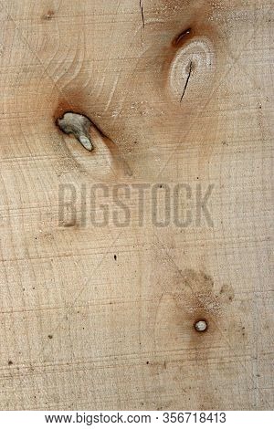 Sycamore, Acer Pseudoplatanus, Tree Recently Sawn Timber Plank With Knots And Showing The Grain That