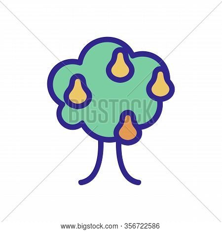 Pear Tree Icon Vector. Pear Tree Sign. Color Isolated Symbol Illustration