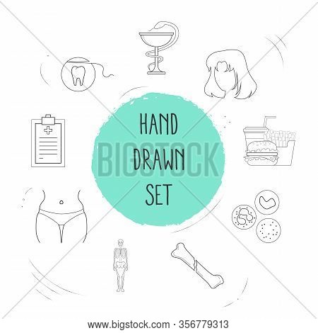 Set Of Anatomy Icons Line Style Symbols With Skeleton, Navel, Leukocytes And Other Icons For Your We