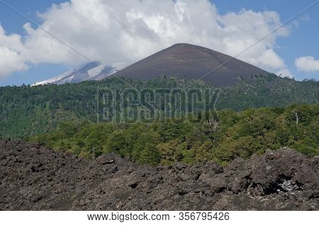 Fields Of Solidified Lava, Forest And Llaima Volcano Covered By Clouds. Conguillio National Park. Ar