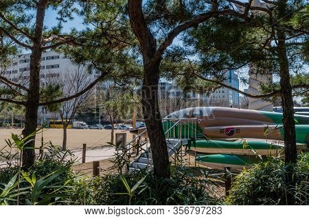 Daejeon, South Korea; March 16, 2020: Northrop F5 Freedom Fighter Jet Aircraft Behind Grove Of Trees