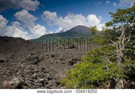 Solidified Lava Field And Llaima Volcano Covered By Clouds. Conguillio National Park. Araucania Regi