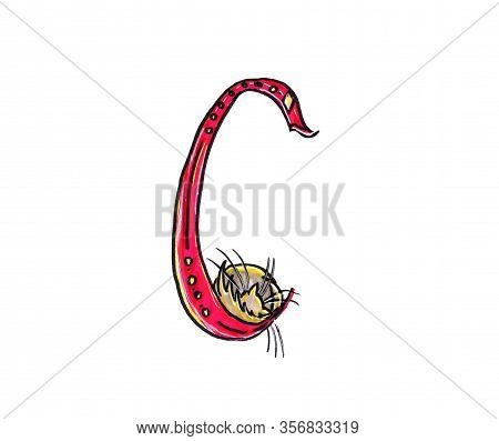 Abc Letters Design. Education Concept Illustration. Cute Children Alphabet.