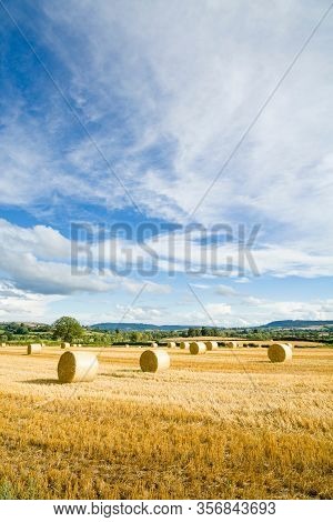 Round Hay Bales Or Haystacks In A Field, With Blue Sky. Shropshire Countryside Landscape, Uk