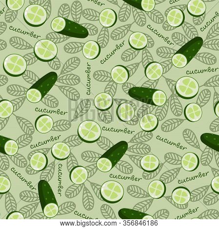 Green Cucumber Cut Into Circles Pattern Vector