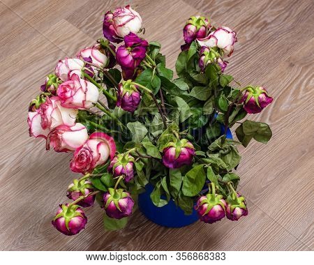 Dry Multi-colored Roses In A Blue Bucket Or Container In Front Of A Light Wall. The Holiday Is Over.