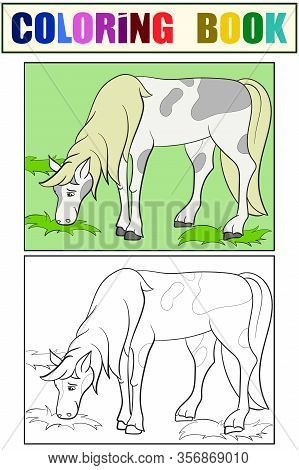 Children Coloring Book, Set. A Horse Grazes In The Meadow.