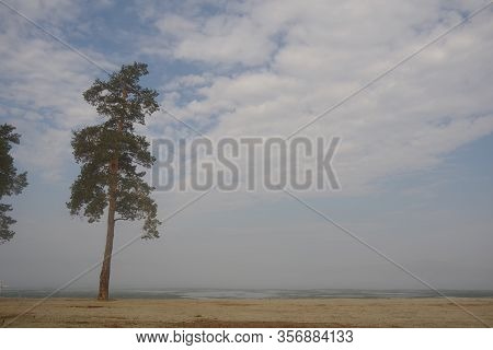 Morning Fog On The Lake, Sunrise, Lake In Ice, Spring Fog, Pine Trees In The Fog