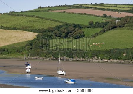 Estuario
