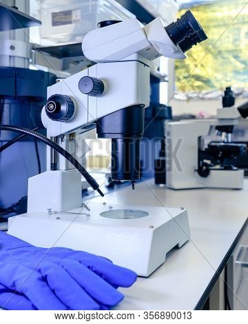 Stereomicroscope Pharmaceutical Bioscience Research In Laboratory. Concept Of Science, Laboratory An