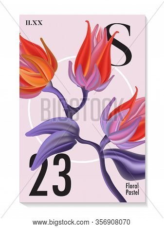 Lobster Claw Heliconia Big Realistic Flower. Summer Unique Garden Typography Spring Decoratoin. Flor
