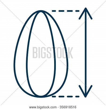 Sunflower Kernel Size Icon. Seed With A Height Arrow. Large Ripened Toasted Grain. Vector Web Outlin