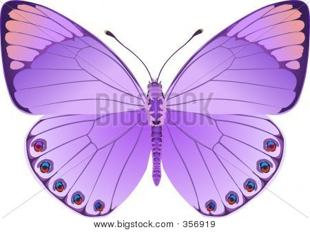 Butterfly Fantasy Lila